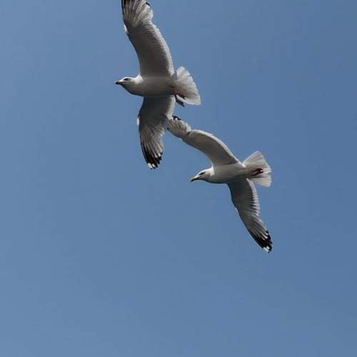 Photo #13237682