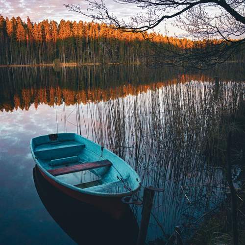 Photo #13237689