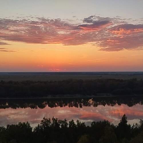 Photo #13237699