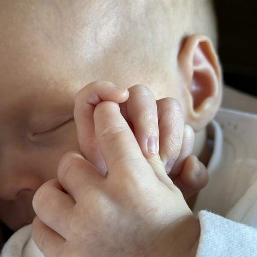 Photo #13237897