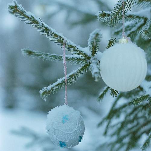 Photo #13237940