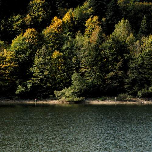 Photo #13238102
