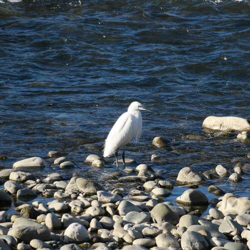 Photo #13238123