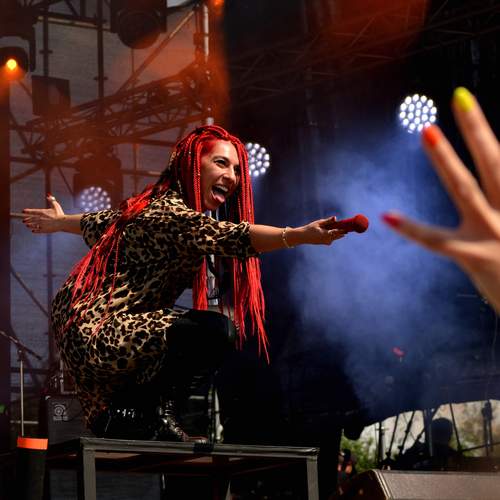 Photo #13238127
