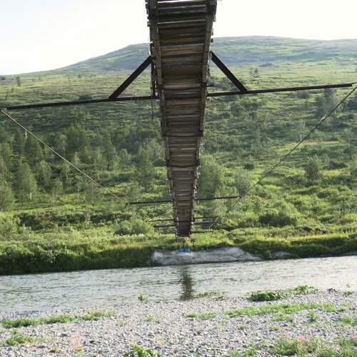 Photo #13238185