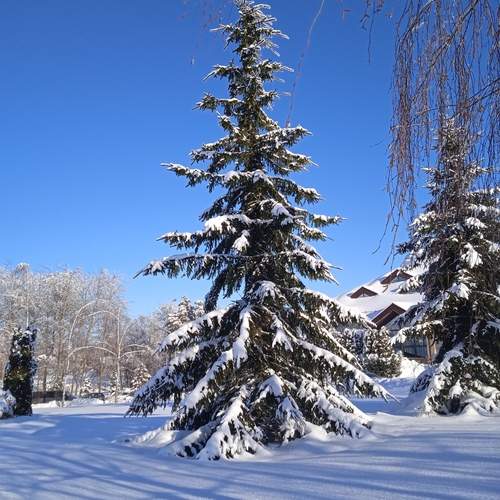 Photo #13238194