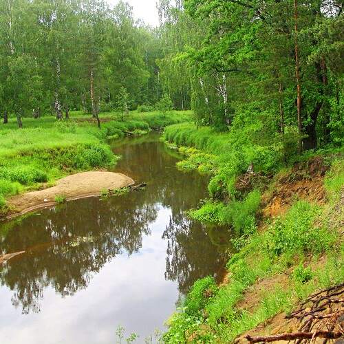 Река Поля