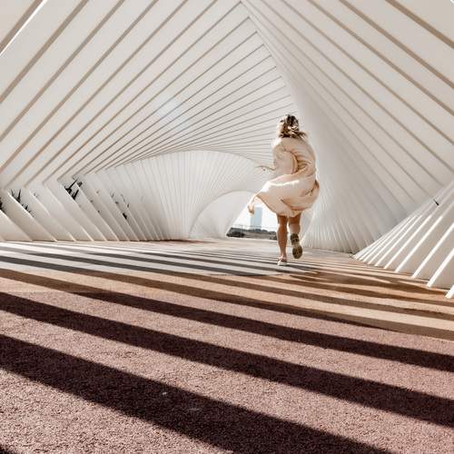 Photo #13238309