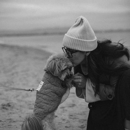 Photo #13238323