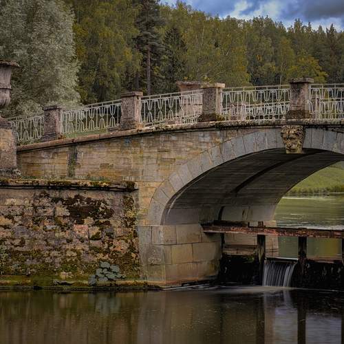Photo #13238357
