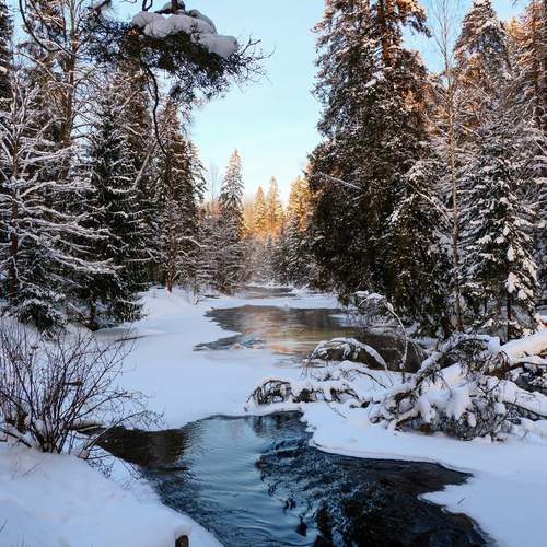 Photo #13238361