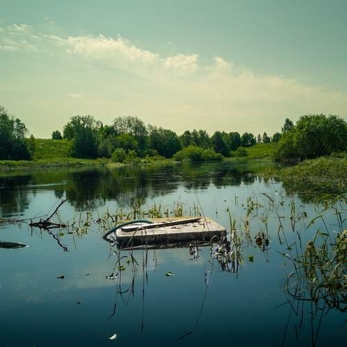 Photo #13238363