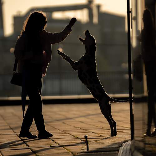 Фотография #13238364