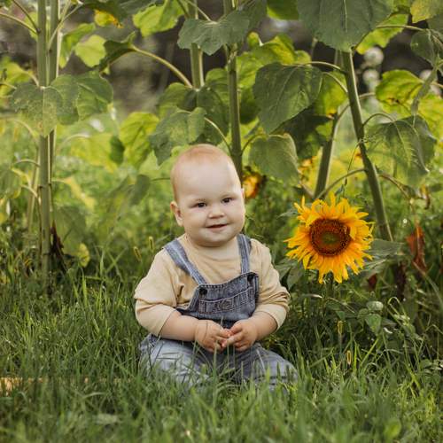 Photo #13238435