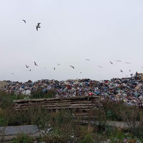 Photo #13238476