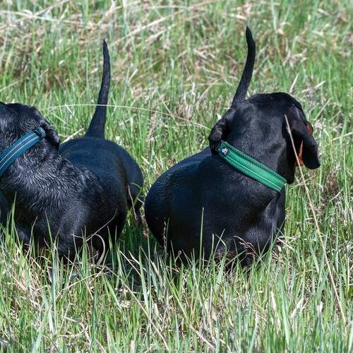 Фотография #13238504