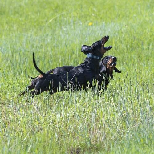 Фотография #13238508