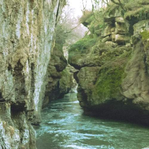 Photo #13238520