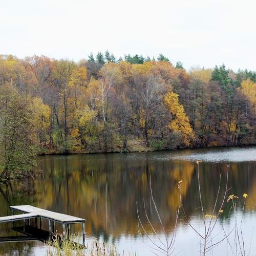 Photo #13238535
