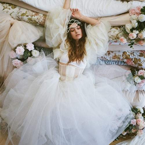 Photo #13238561