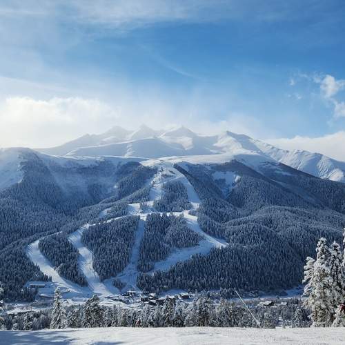 Photo #13238568
