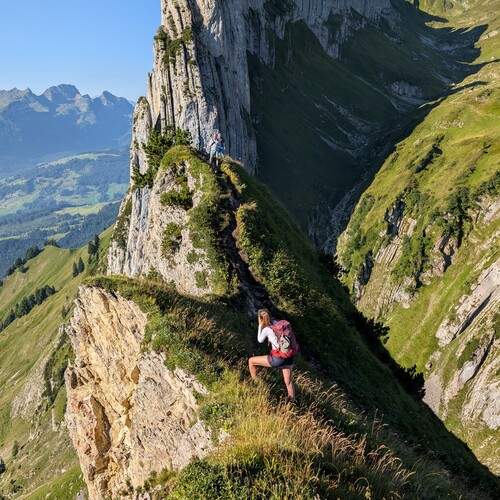 Photo #13238571