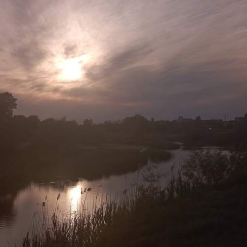 Photo #13238585