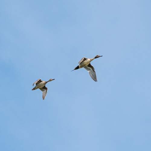 Фотография #13238591