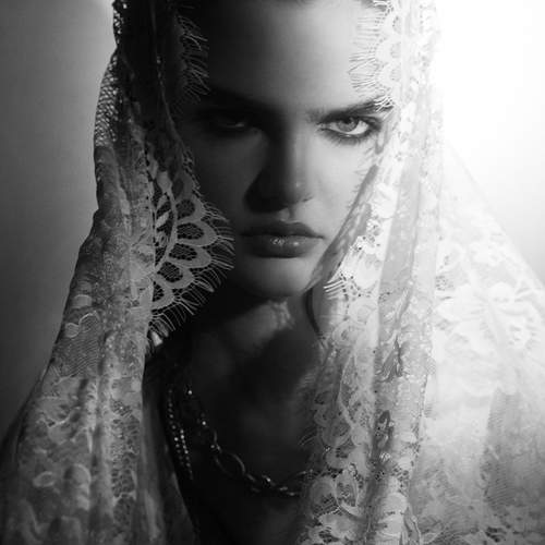 Photo #13238605