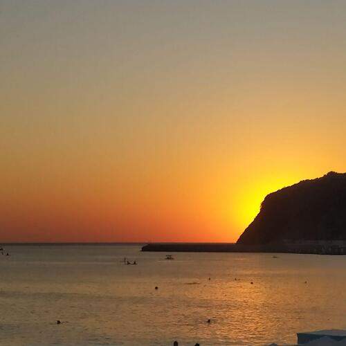 Photo #13238612