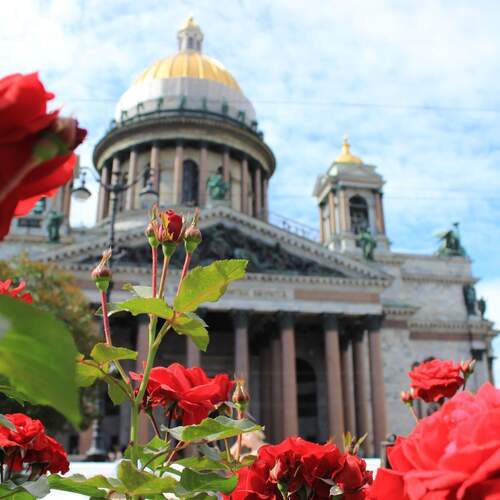 Photo #13238613