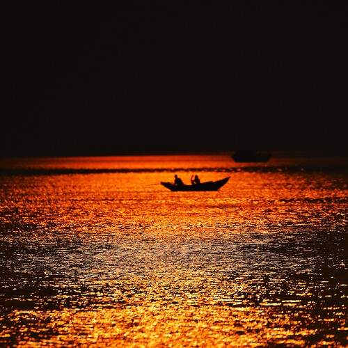 Life and its beauty!