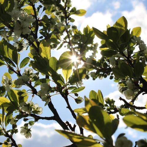 Photo #13238666