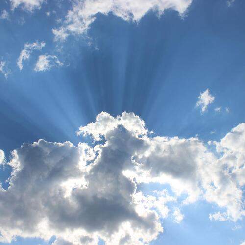 Photo #13238670