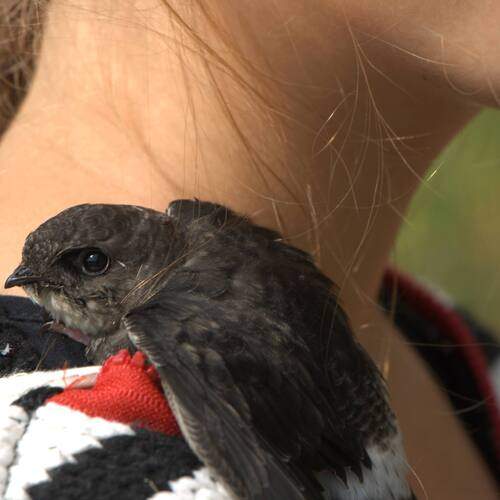 Photo #13238685