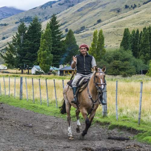 Photo #13238732