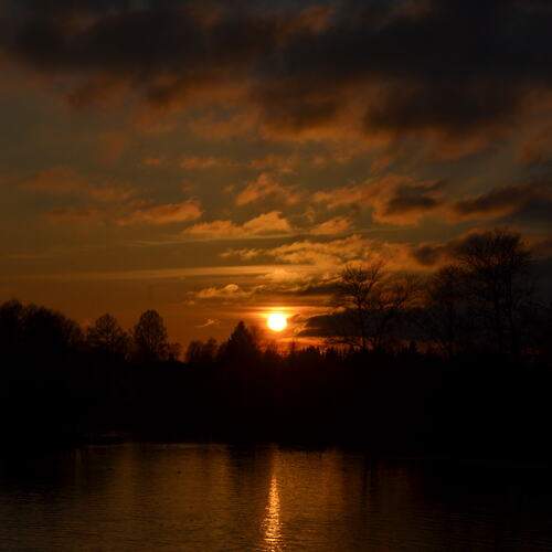Photo #13238815