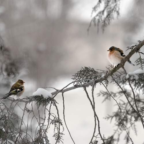 Photo #13238879