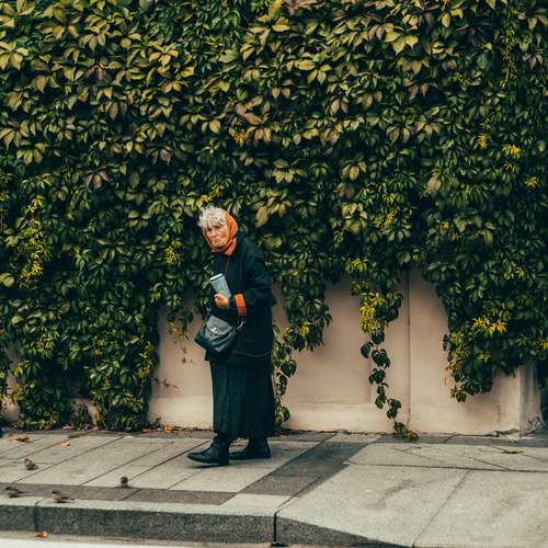 Photo #13238949