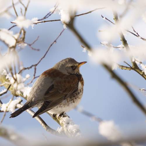 Photo #13239080