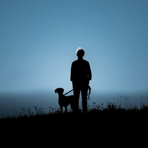 Фотография #13239096