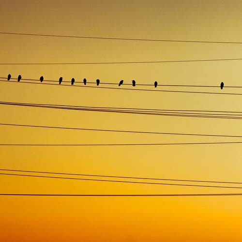 Photo #13239114