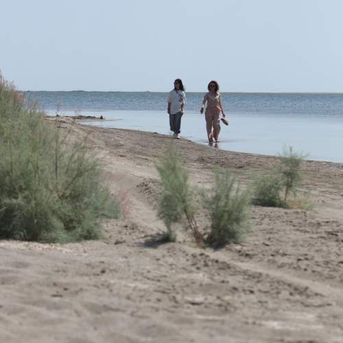 Photo #13239186