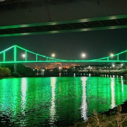 Photo #13239283