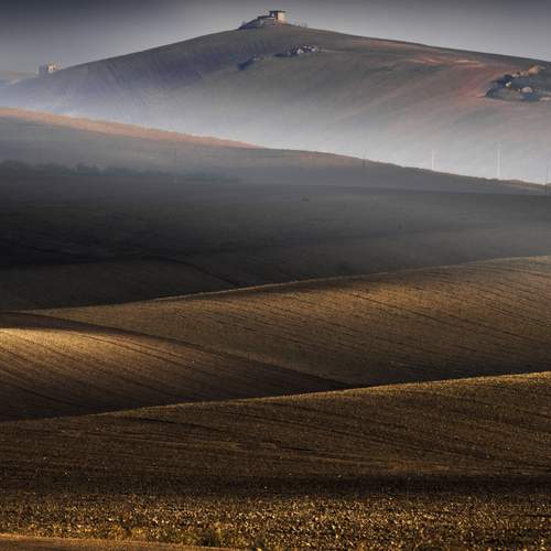 Lines of Silence