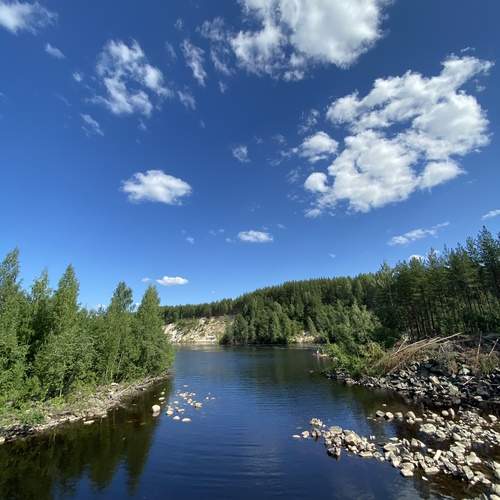 Photo #13239415