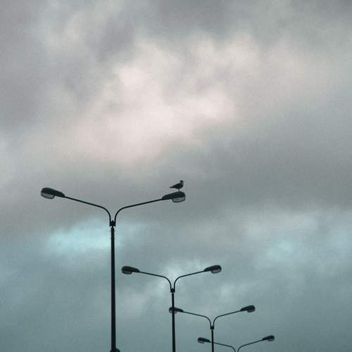 Photo #13239482