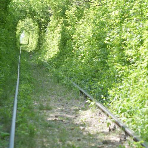Photo #13239534