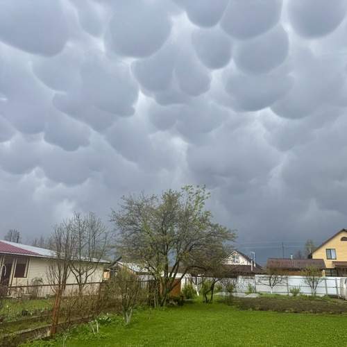 Photo #13239577