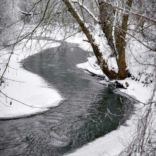 Photo #13239599